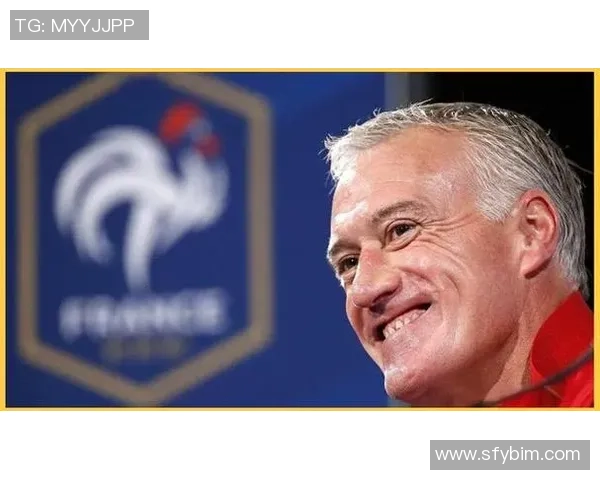 法国足球明星国王的传奇之路与辉煌成就探秘